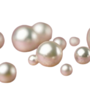 pearl-removebg-preview
